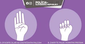 Takto vyzer&aacute; sign&aacute;l dom&aacute;ceho n&aacute;silia (FOTO)