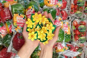 Keď p&ocirc;jdete na n&aacute;kup do BILLA, aj vy m&ocirc;žete na Deň narcisov podporiť onkologick&yacute;ch pacientov